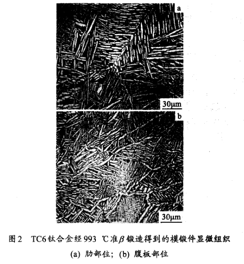 TC6鈦合金經993 ℃準鍛造得到的模鍛件顯微組織(a) 肋部位；(b) 腹板部位